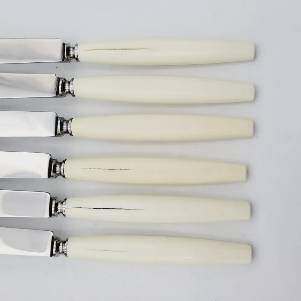 Set 6 Neiman Marcus SHEFFIELD Stainless Steak KNIVES Ivorine Handles England